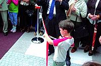 W�zkiem w ratusz