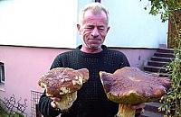 Gigant z Aleksandrowa