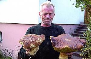 Gigant z Aleksandrowa