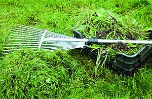 Kompostowników miejskich (póki co) nie będzie