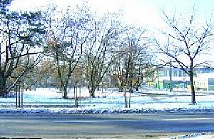 Gdzie zbudować starostwo?