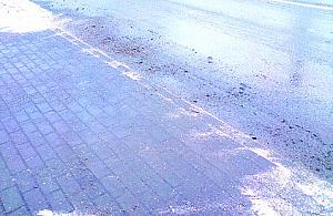 Kto posprząta po zimie?