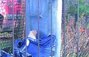 Podatek śmieciowy staje się faktem