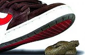 Sprzątaj po swoim... sąsiedzie