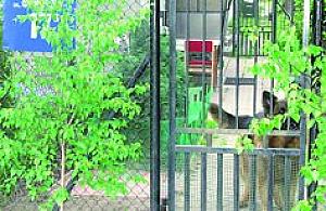 Którędy do szkoły?