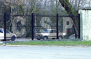 Czaszki i zagadkowa śmierć