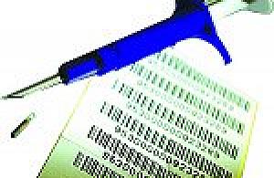 Pies pod specjalnym nadzorem