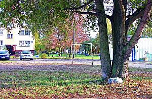 Nowe mieszkania dla wybranych?