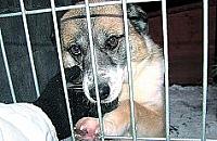 Bezdomne zepchnięte na margines