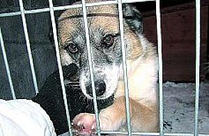 Bezdomne zepchnięte na margines