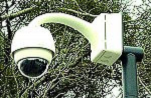 Od jesieni pod okiem kamery