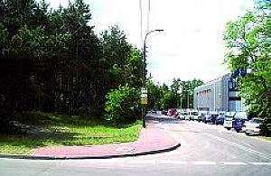 Krzaki, śmieci i alkohol