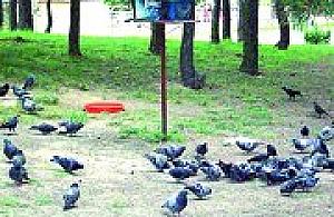 Hulanki nadeszły wraz z latem