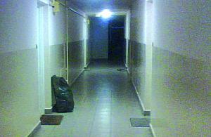 Co tu tak śmierdzi?