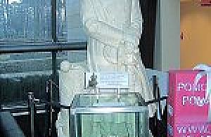 Zagadkowe zniknięcie