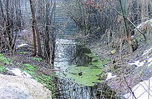 Rowy nie płyną, płyną piwnice