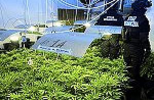 Nowocześni legionowscy hodowcy