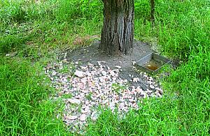 Pomyśl zanim dokarmisz!