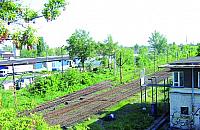 To tylko plotka