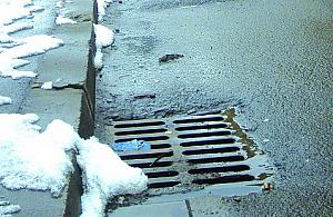 Wola nie dla niepełnosprawnych