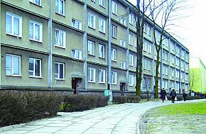 Co będą robić na Woli?