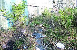 Ktoś tu sprząta? Czy tylko się pije?