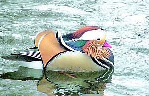 Zdjęcia od Czytelników