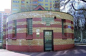 Gdzie te oligocenki?