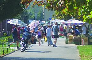 Handel zamiast rowerów