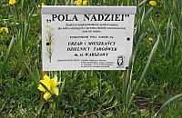 Pola Nadziei