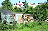 Dzia�kowy syf na Zamiejskiej