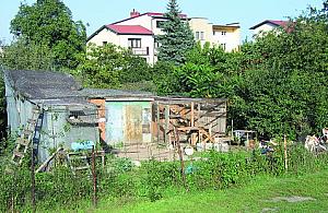 Działkowy syf na Zamiejskiej