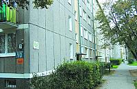 Robaki nadal łażą