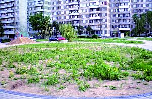 Podwórko pełne chwastów