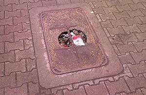 Telefoniczny śmietnik