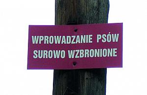 Nie dla psa... jordanek