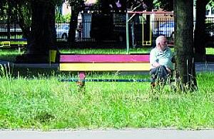 Walczymy o ławki i zielony rynek