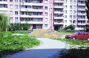 Podwórko w centrum uwagi