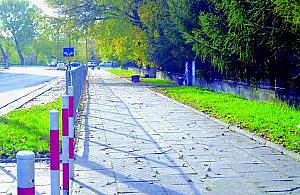 Bartnicza bez opieki