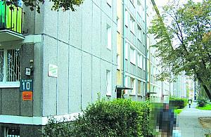 Czy sąd wymusi sprzątnięcie śmieci?