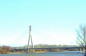 Senatora kij w mrowisko