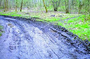 Nie rozjeżdżajcie nam lasu!