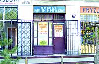 Radio-telewizyjne naprawianie
