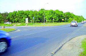 Feralne skrzyżowanie