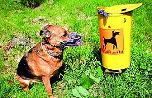 Wrzuć kupę do pojemnika