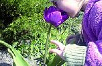Poka�, jak dbasz o ogr�d