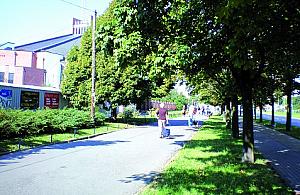 Ujarzmiony dziki handel?