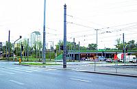 Obsuwa przy �abie