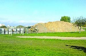 Park na lato i zimę