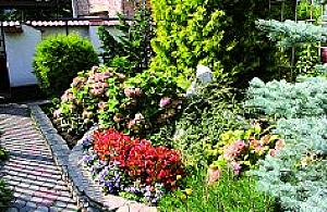 Coraz piękniejsze ogrody na Zaciszu